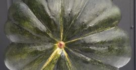 I will sell a muscat de provence pumpkin, nicely