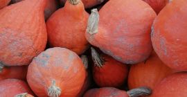 I will sell Hokkaido pumpkins, market quality, about 7