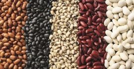 Beans. Any volumes. Delivery Beans from Ukraine. Wholesale sales