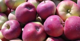 I will sell a nice Lobo 7+ for the