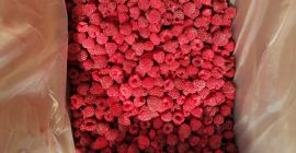 Gefrorene Himbeeren aus Weißrussland 2021 Himbeeren in Kartons von