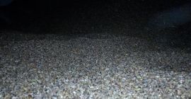 Hello. I will sell ORGANIC buckwheat! Quantity - 6