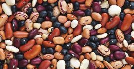 A bab nagykereskedelme a tartományban. Bab Ukrajnából Ládák Naturprodukt