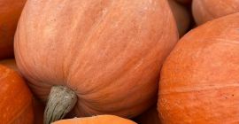 I will sell a giant pumpkin. Weight about 20