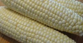 WHITE AND YELLOW CORN, MAIZE WHOLE KERNEL yellow maize