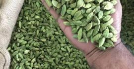 We are suppying black/green/brown cardamom with the following details: