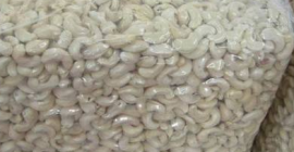 Rohe natürliche Cashewnüsse sind reich an Protein und wenig