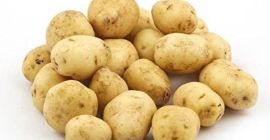 Hallo, ich suche einen Produzenten von Sahnekartoffeln.