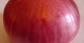 Whether it’s white, red or yellow onions, these pungent