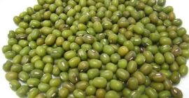 The mung bean, alternatively known as the green gram,