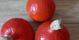 Продаћу тикве Хоккаидо Оранге, Малополска, Покрајина Цхрзанов, тежине од