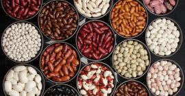 Bab nagykereskedelem. Ukrán eredetű bab Eladásra kínálunk különböző fajtájú