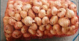 Ich verkaufe rumänische Zwiebeln verpackt in 20 kg Säcken