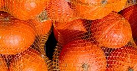 Hokkaido pumpkin no fertilizer no spraying quantity 15 tons