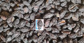 I sell prunes with and without symbols, all details