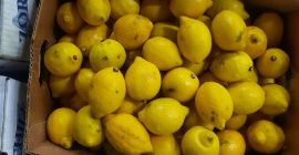 I will sell a 2nd class of lemon (with