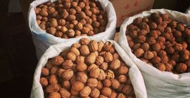 Ще купя орех (орех) на дребно и на едро