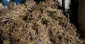 I am selling large bundles of dried dill for