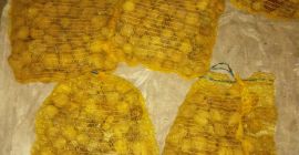 Vendo noci Jacki, grandi, 60 kg e piccole, 2