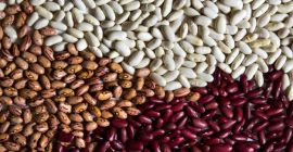 Beans from the Ukrainian fields We offer for sale