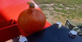 Buy hokkaido pumpkins packaging on the buyer&#39;s side