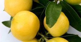 Az édes citrom, más néven lime, mediterrán lime, édes