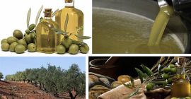 Ulei de măsline Tunisia în vrac