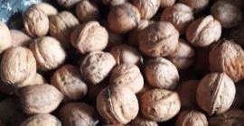 I will sell walnuts price PLN 2.50 per 1