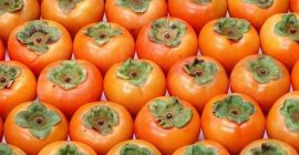 SELL INDUSTRIAL FRUITS FRESH PERSIMMON, PRICE - INTERNATIONAL AGRICULTURAL EXCHANGE, Agro-Market24