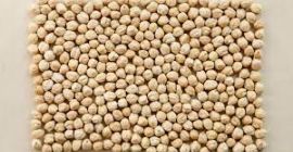 Product Type: Chickpeas
Foreign material: 0.2% max.
Seed under size: 1% Max.
Badly damaged beans: 1
Seed split: 0.5%
Sriveld: maximum 2%
Coating is damaged: not more than 3%
Place of origin: Malaysia
Type: Beans
HUMIDITY: 12%
Expiration date: 2 years
MOQ: 13.5 tons (20ft container)
Supply Ability: 5000 Metric Tons / Month
Payment methods: T / T, WU, MG, Bitcoin
Packing Detail: 25kg / 50kg per bag or as your requirement
Loading: 20FCL Capacity from 13.5 to 15 m / t