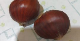 Vendo castagne sanissime per il consumo umano. Di medie