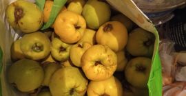 Ripe fresh organic fruit from the vicinity of Płońsk