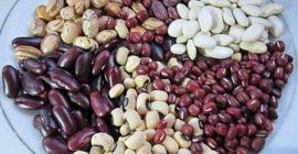 Bohnen in loser Schüttung (made in Ukraine) Das ukrainische