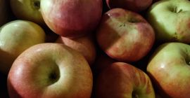 Idared und goldene Delikatessen in Prespa