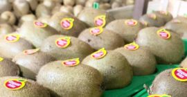 Kiwi Calitate, Marime, Pret: Avem cele mai bune calitati,