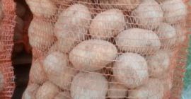 I WILL SELL SORTED POTATOES IN BAGS OF 30