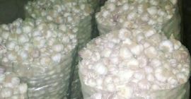 Wubinco Nig. LTD - это сельскохозяйственная компания, мы -