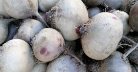 Pret: negociabil in functie de cantitatea dorita. Producator local