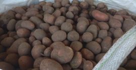 Vendo patate gialle e rosse, confezionate da 15 kg
