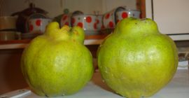 Eigene Produktion verfügbar eine Tonne für Kompott