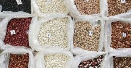 I sell various varieties of beans Bins NaturProduct sells