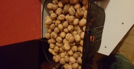 Deliziose noci in vendita
