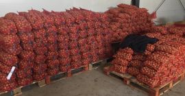 FERMA POMICOLA LUCA SRL - Románia Milotai 10 Minimum