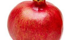 Frische Granatäpfel Spezifikation Verfügbare Sorten:- Granada Granatapfel Geschätzte Anzahl