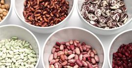 Assorted beans with delivery from Ukraine We sell beans