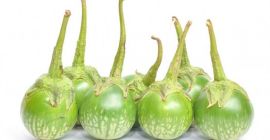 La melanzana tailandese, o melanzana come è talvolta conosciuta,