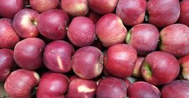 Продајем квалитетне јабуке из Пољске. директно од произвођача. Цена