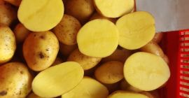 Vendita patate, provenienza (Olanda, Germania, Francia) confezione a scelta