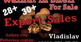 Short info Milutraid@gmail.com +38 0997717772 Vladislav speaks Russian +38