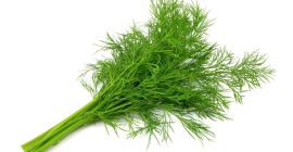 For sale dill 10 PLN per kg. More information
